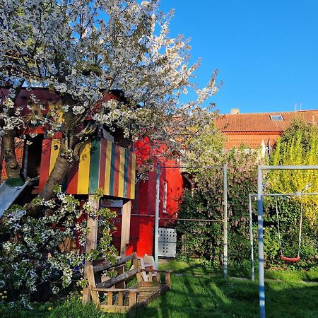 Haus Abendsonne Villa Barth Buitenkant foto